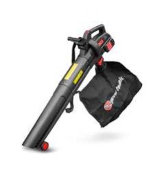 ASPI SOUFFLEUR BROYEUR 2X20V - 2 BAT 2AH