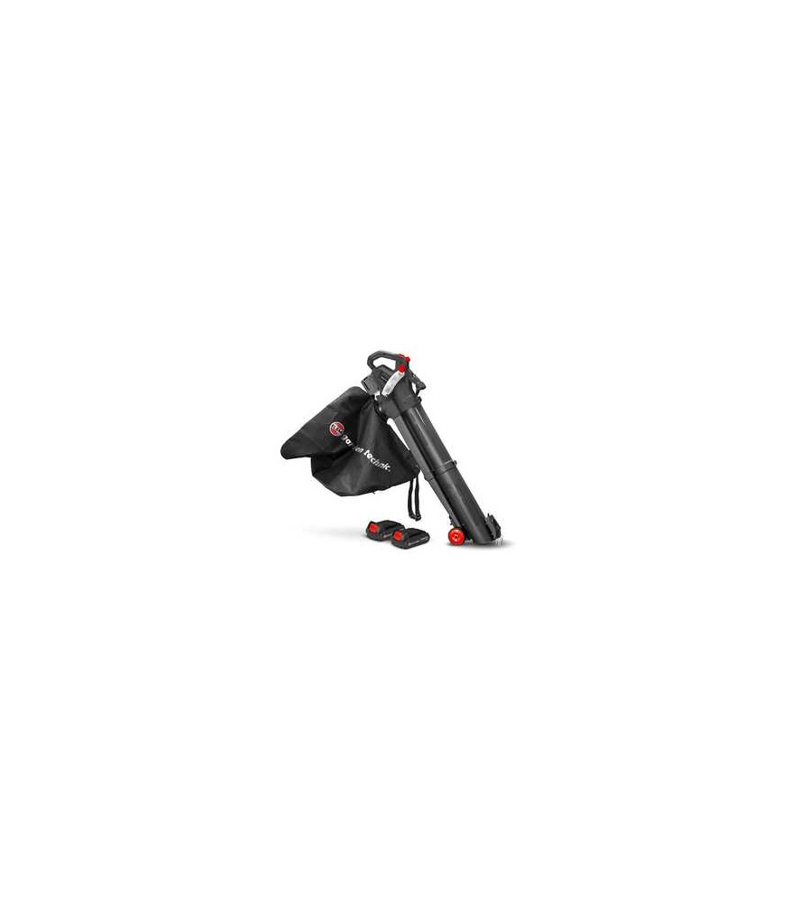 ASPIRATEUR SOUFFL.BROY. 2X20V 2 BAT. 2AH