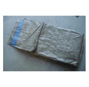 BLAUW DEKZEIL 1_5X6 MT