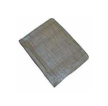 BACHE DE JARDIN 4X6M - 80g