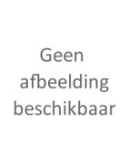 Tegelsnijder
